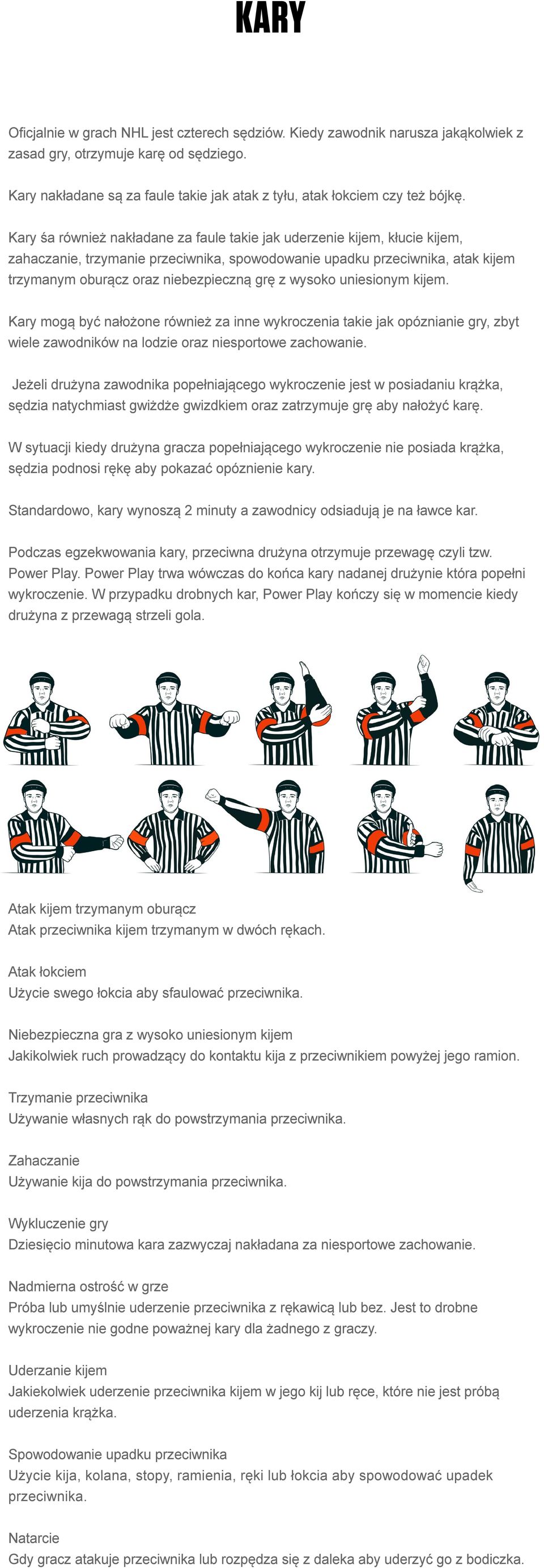 Kary śa również nakładane za faule takie jak uderzenie kijem, kłucie kijem, zahaczanie, trzymanie przeciwnika, spowodowanie upadku przeciwnika, atak kijem trzymanym oburącz oraz niebezpieczną grę z