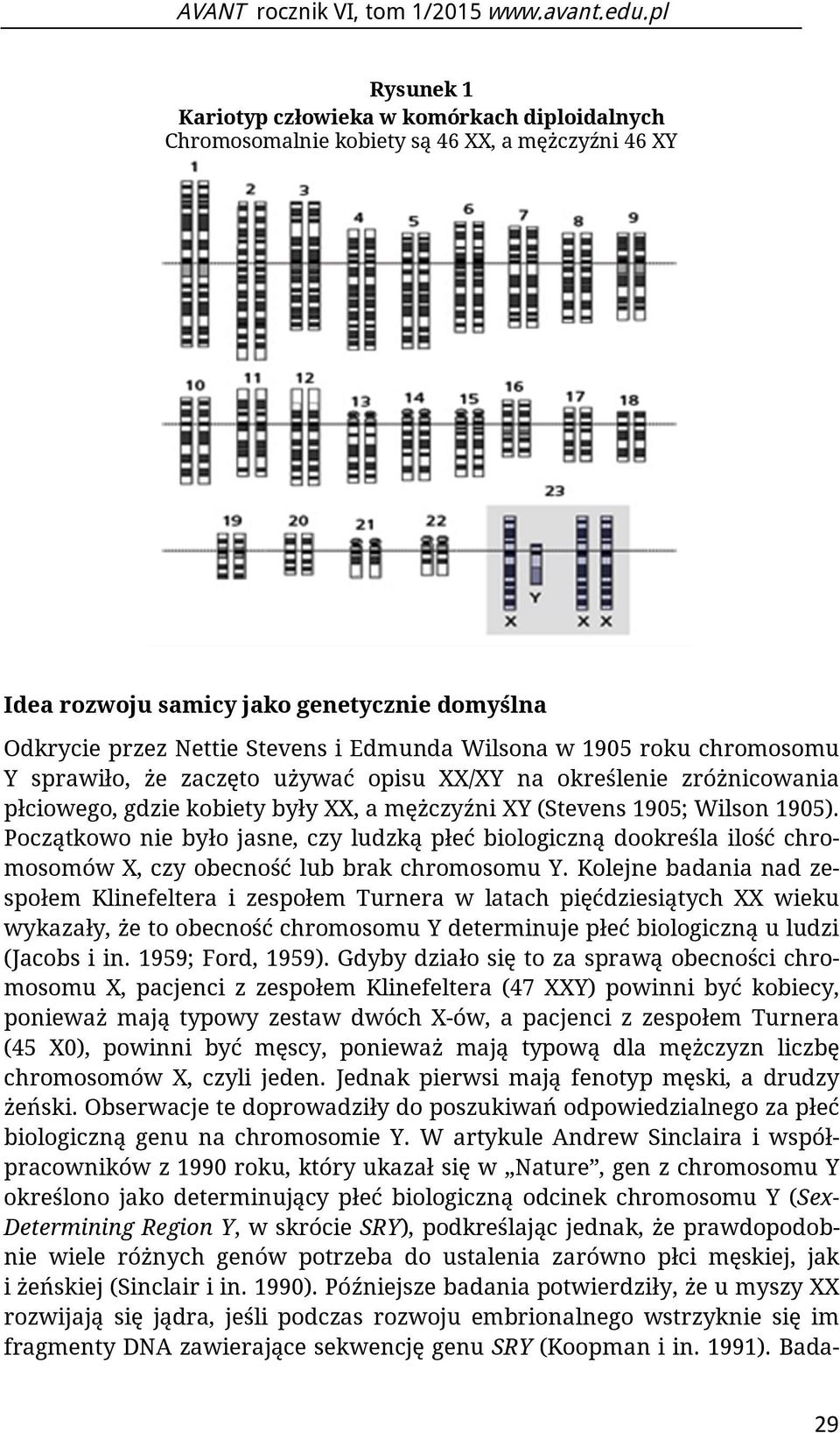 Początkowo nie było jasne, czy ludzką płeć biologiczną dookreśla ilość chromosomów X, czy obecność lub brak chromosomu Y.