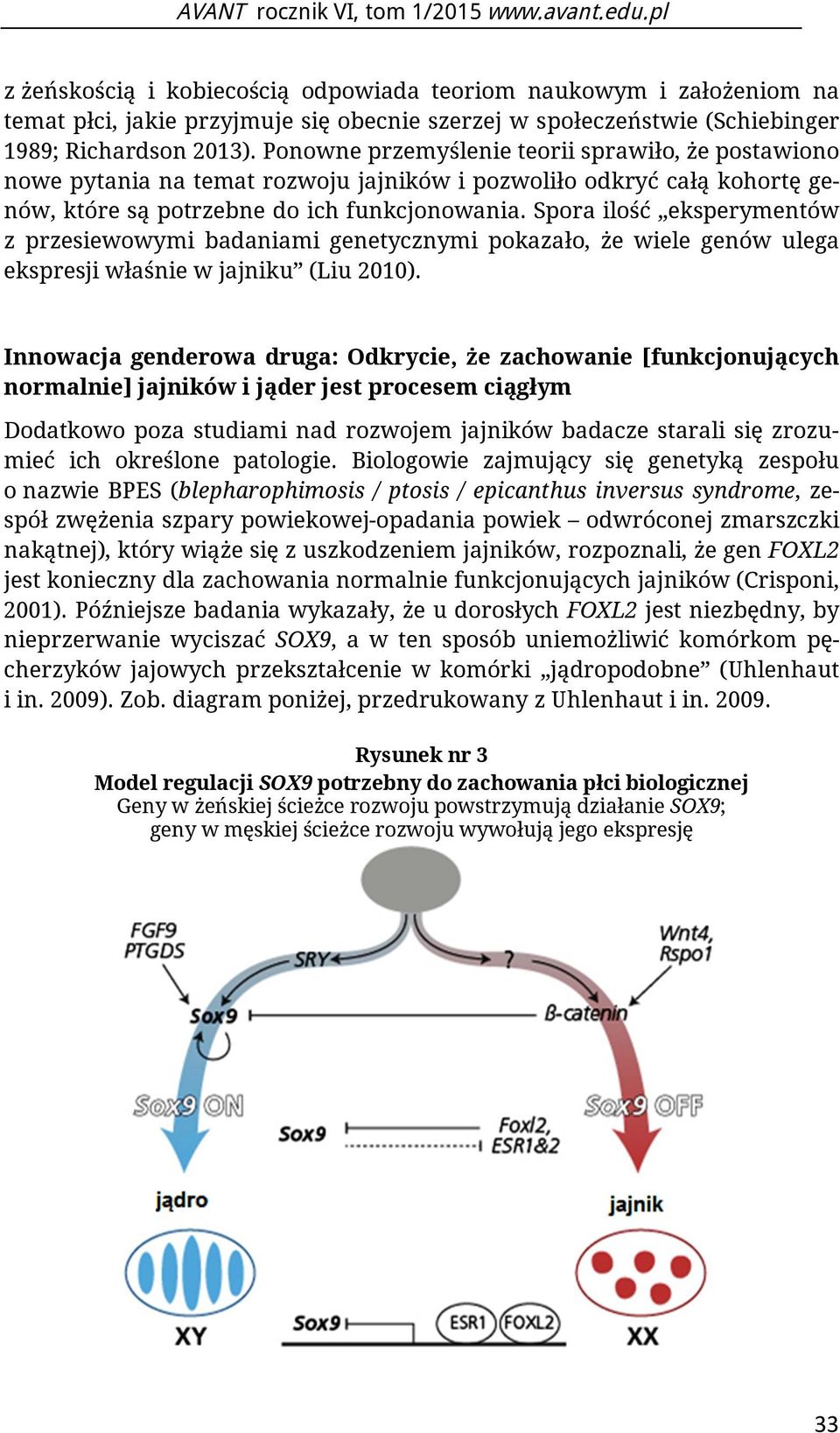 Spora ilość eksperymentów z przesiewowymi badaniami genetycznymi pokazało, że wiele genów ulega ekspresji właśnie w jajniku (Liu 2010).