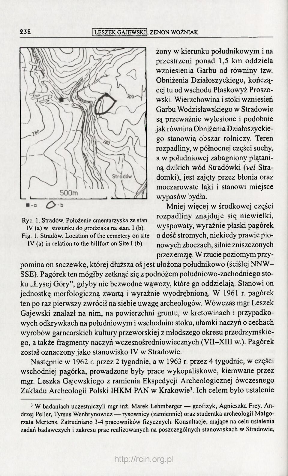 Wierzchowina i stoki wzniesień Garbu Wodzisławskiego w Stradowie są przeważnie wylesione i podobnie jak równina Obniżenia Działoszyckiego stanowią obszar rolniczy.