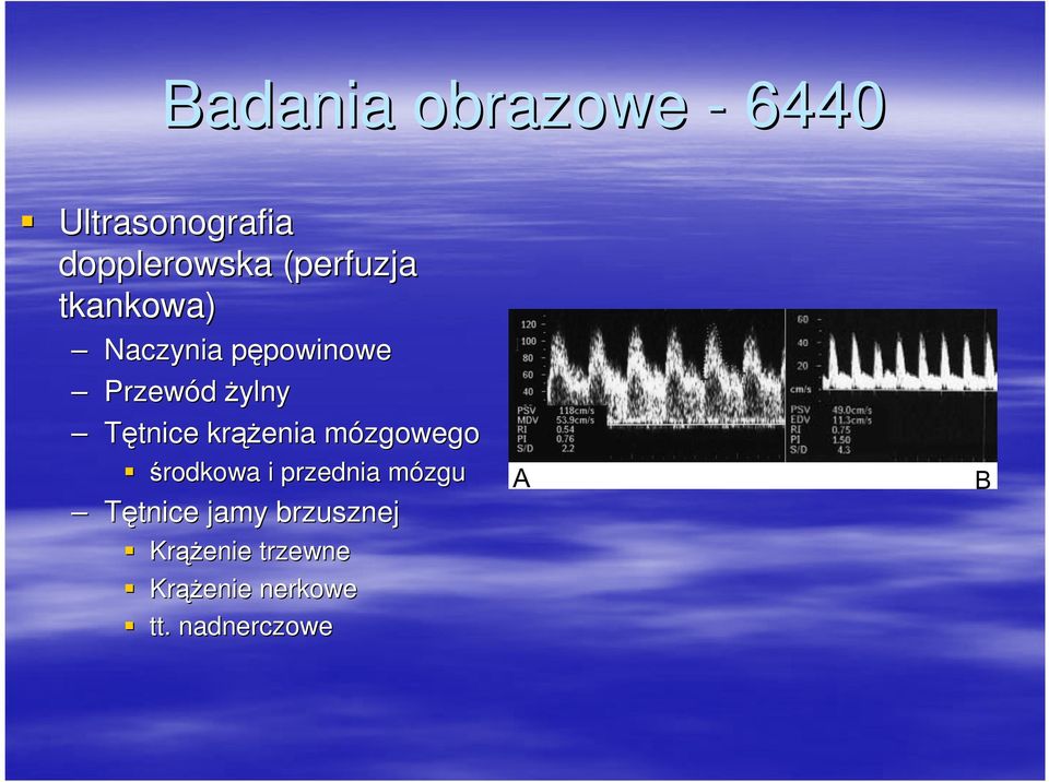 krąŝ ąŝenia mózgowegom środkowa i przednia mózgum Tętnice jamy