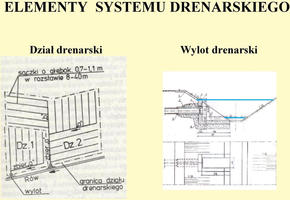 DRENARSKIEGO