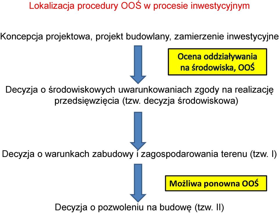 realizację przedsięwzięcia (tzw.