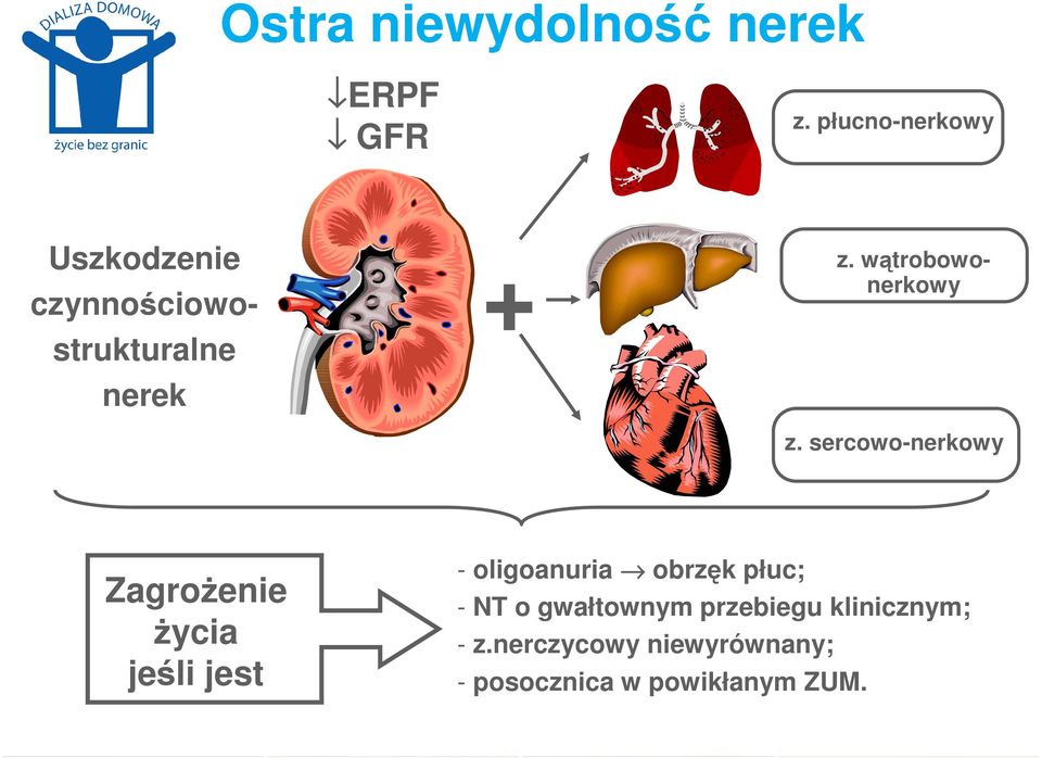 wątrobowonerkowy z.