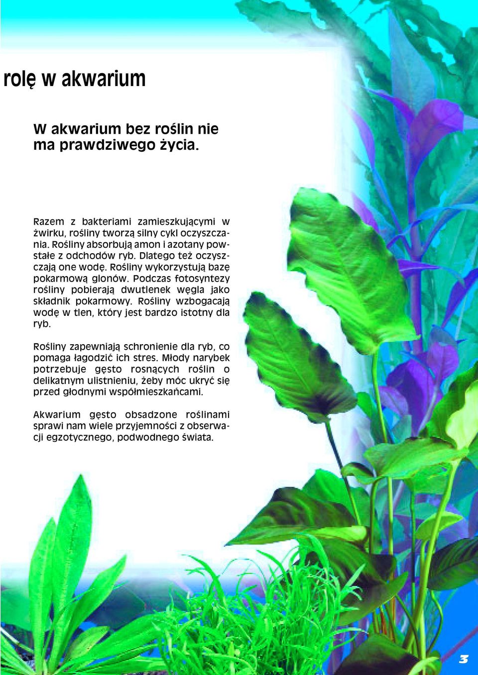 Podczas fotosyntezy roœliny pobieraj1 dwutlenek wêgla jako sk3adnik pokarmowy. Roœliny wzbogacaj1 wodê w tlen, który jest bardzo istotny dla ryb.