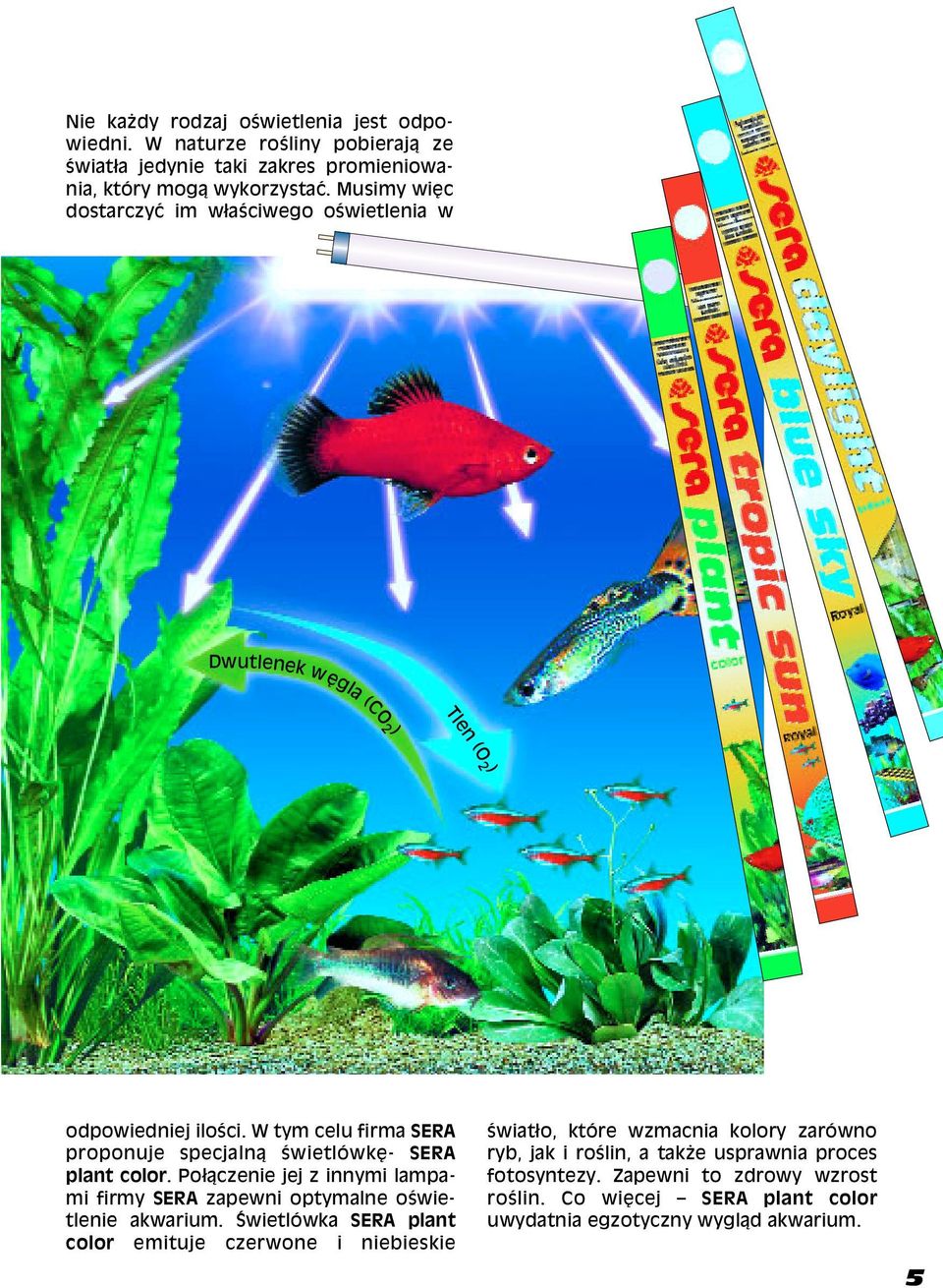 W tym celu firma SERA proponuje specjaln1 œwietlówkê- SERA plant color. Po31czenie jej z innymi lampami firmy SERA zapewni optymalne oœwietlenie akwarium.