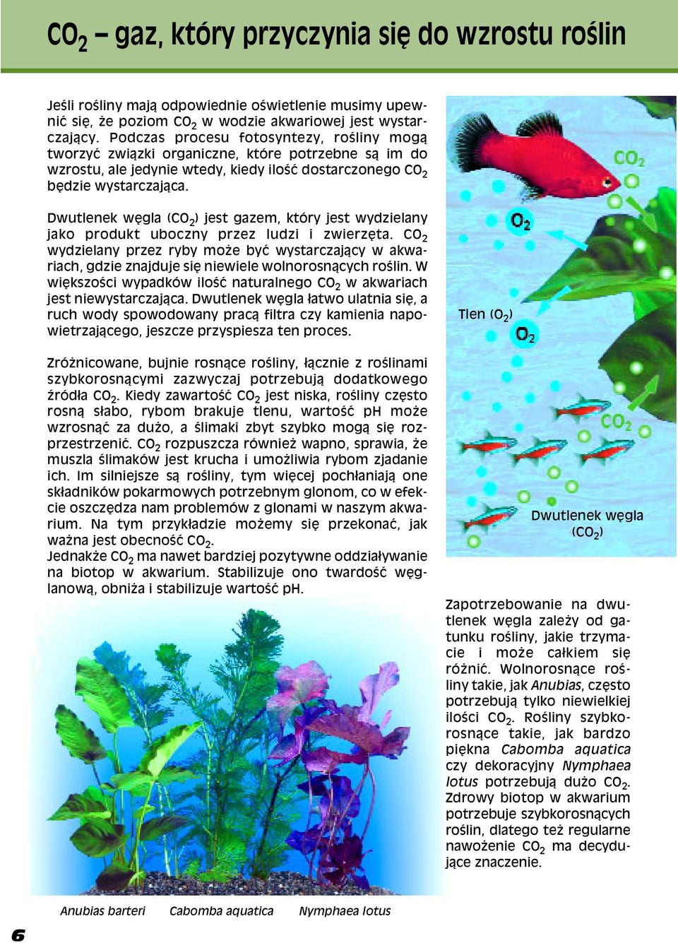Dwutlenek wêgla (CO 2 ) jest gazem, który jest wydzielany jako produkt uboczny przez ludzi i zwierzêta.