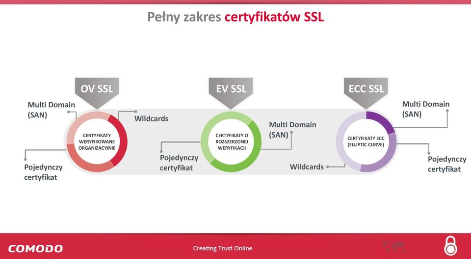 Pojedynczy certyfikat CERTYFIKATY O ROZSZERZONEJ WERYFIKACJI Multi Domain