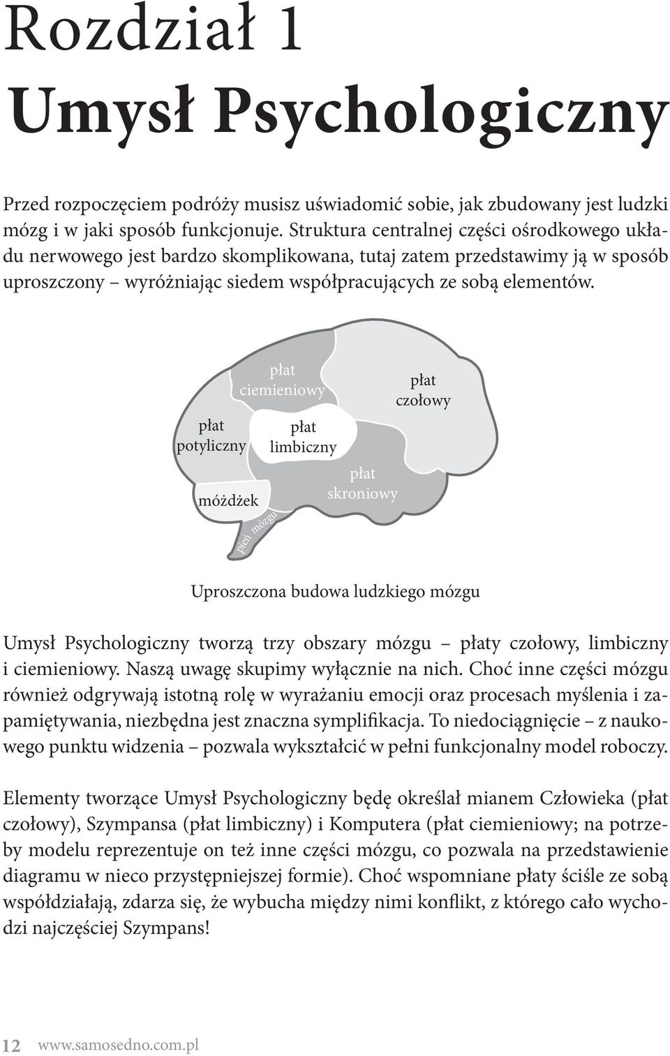 potyliczny móżdżek ciemieniowy pień mózgu limbiczny skroniowy czołowy Uproszczona budowa ludzkiego mózgu Umysł Psychologiczny tworzą trzy obszary mózgu y czołowy, limbiczny i ciemieniowy.