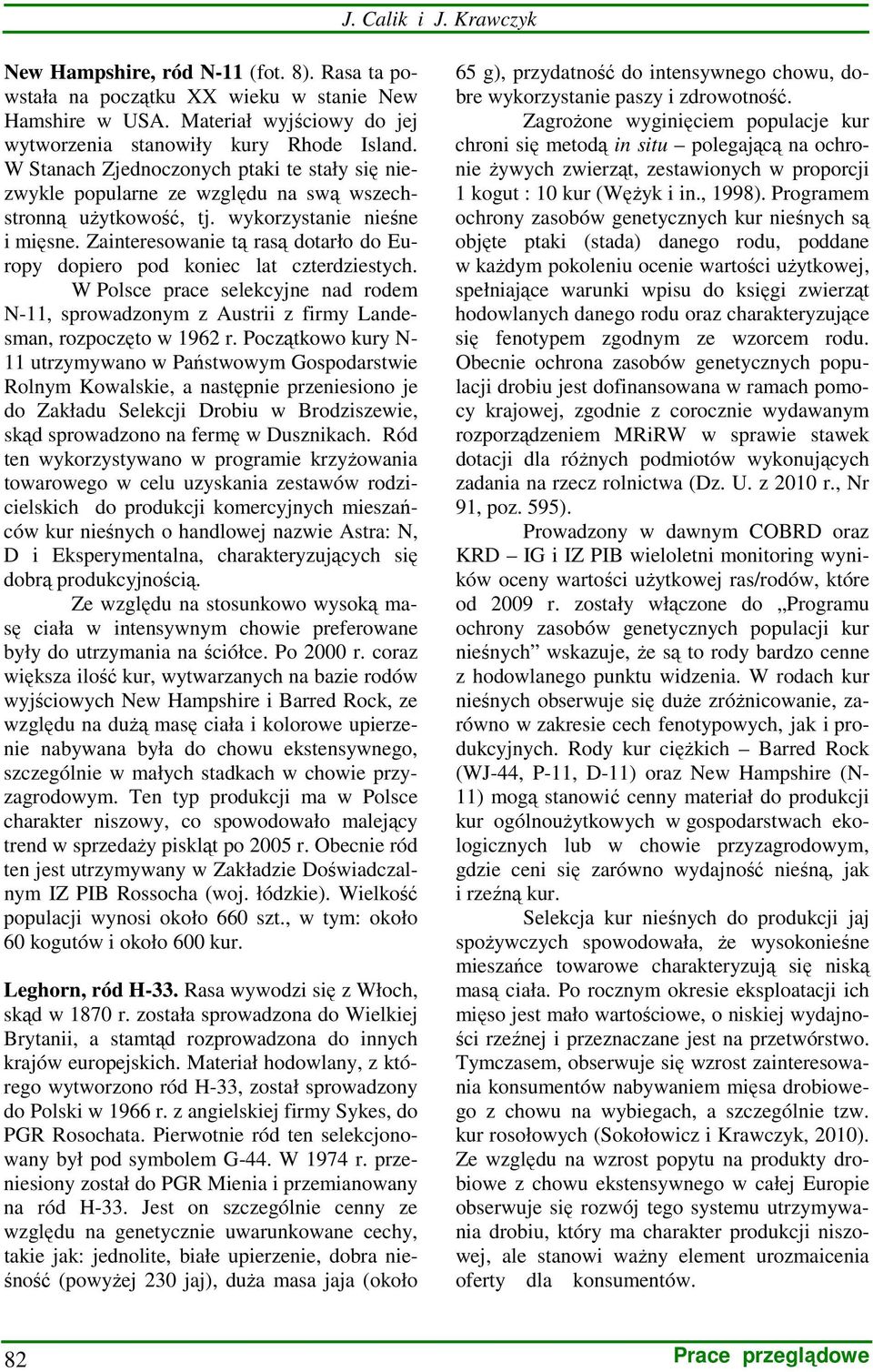 Zainteresowanie tą rasą dotarło do Europy dopiero pod koniec lat czterdziestych. W Polsce prace selekcyjne nad rodem N-11, sprowadzonym z Austrii z firmy Landesman, rozpoczęto w 1962 r.