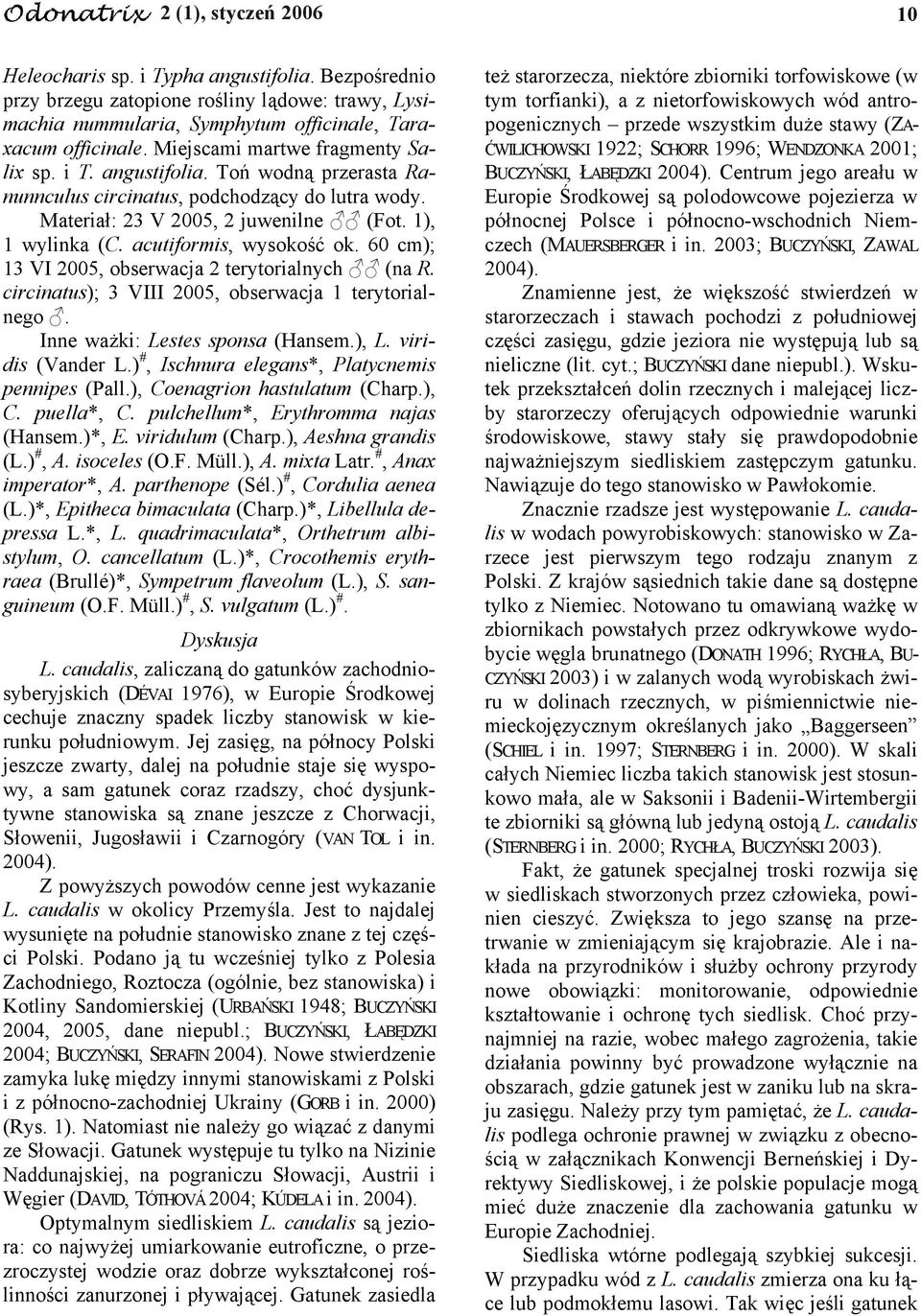acutiformis, wysokość ok. 60 cm); 13 VI 2005, obserwacja 2 terytorialnych (na R. circinatus); 3 VIII 2005, obserwacja 1 terytorialnego. Inne ważki: Lestes sponsa (Hansem.), L. viridis (Vander L.