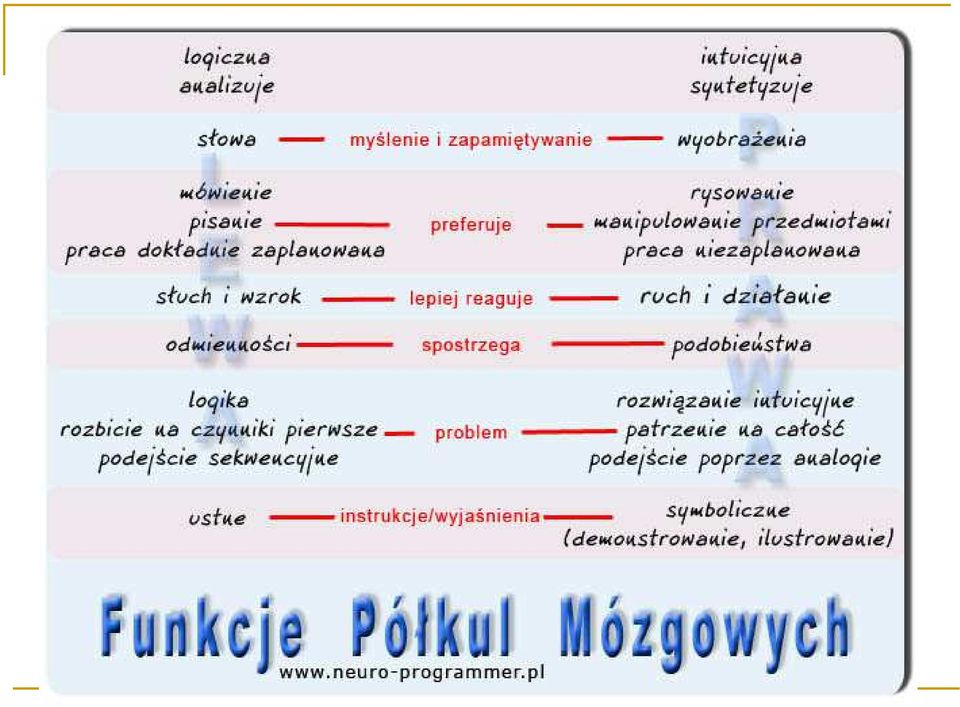 " Półkule mózgowe z pozoru