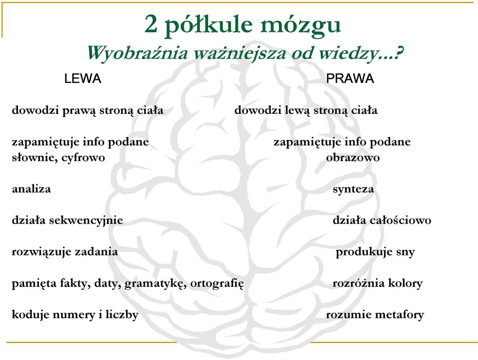 działa sekwencyjnie rozwiązuje zadania dowodzi lewą stroną ciała zapamiętuje info podane