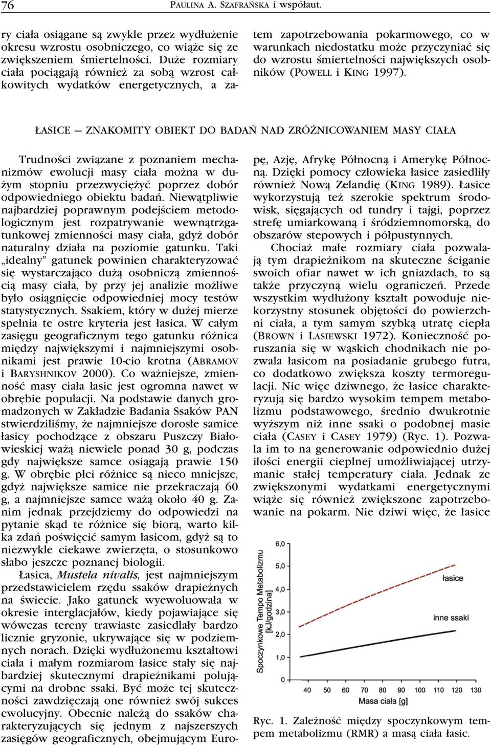 największych osobników (Powell i King 1997).
