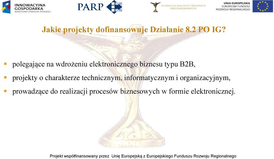 projekty o charakterze technicznym, informatycznym i