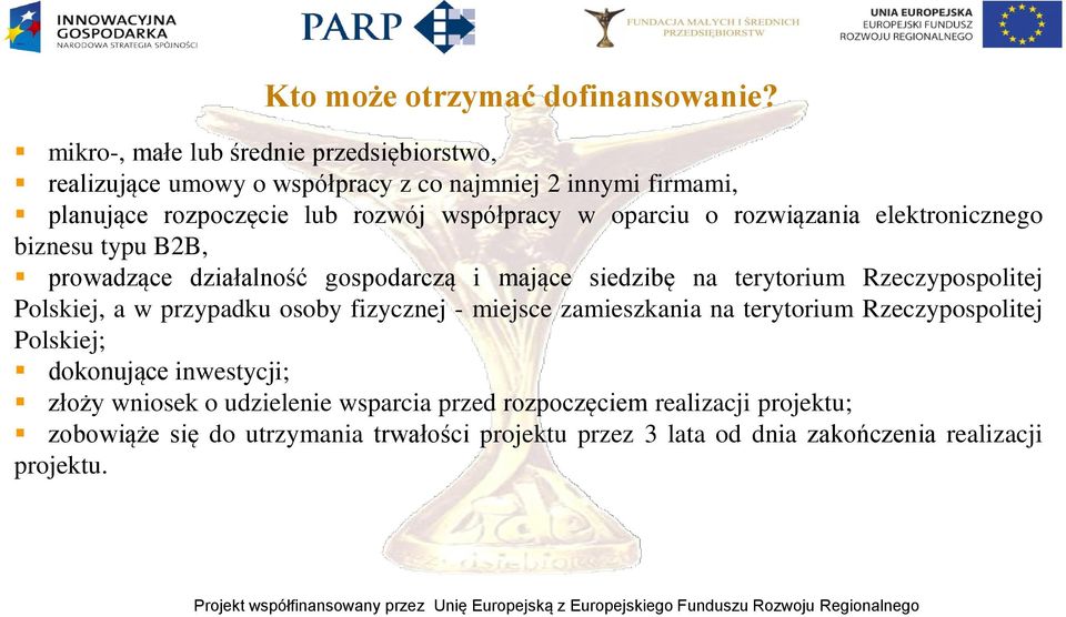 oparciu o rozwiązania elektronicznego biznesu typu B2B, prowadzące działalność gospodarczą i mające siedzibę na terytorium Rzeczypospolitej Polskiej, a w