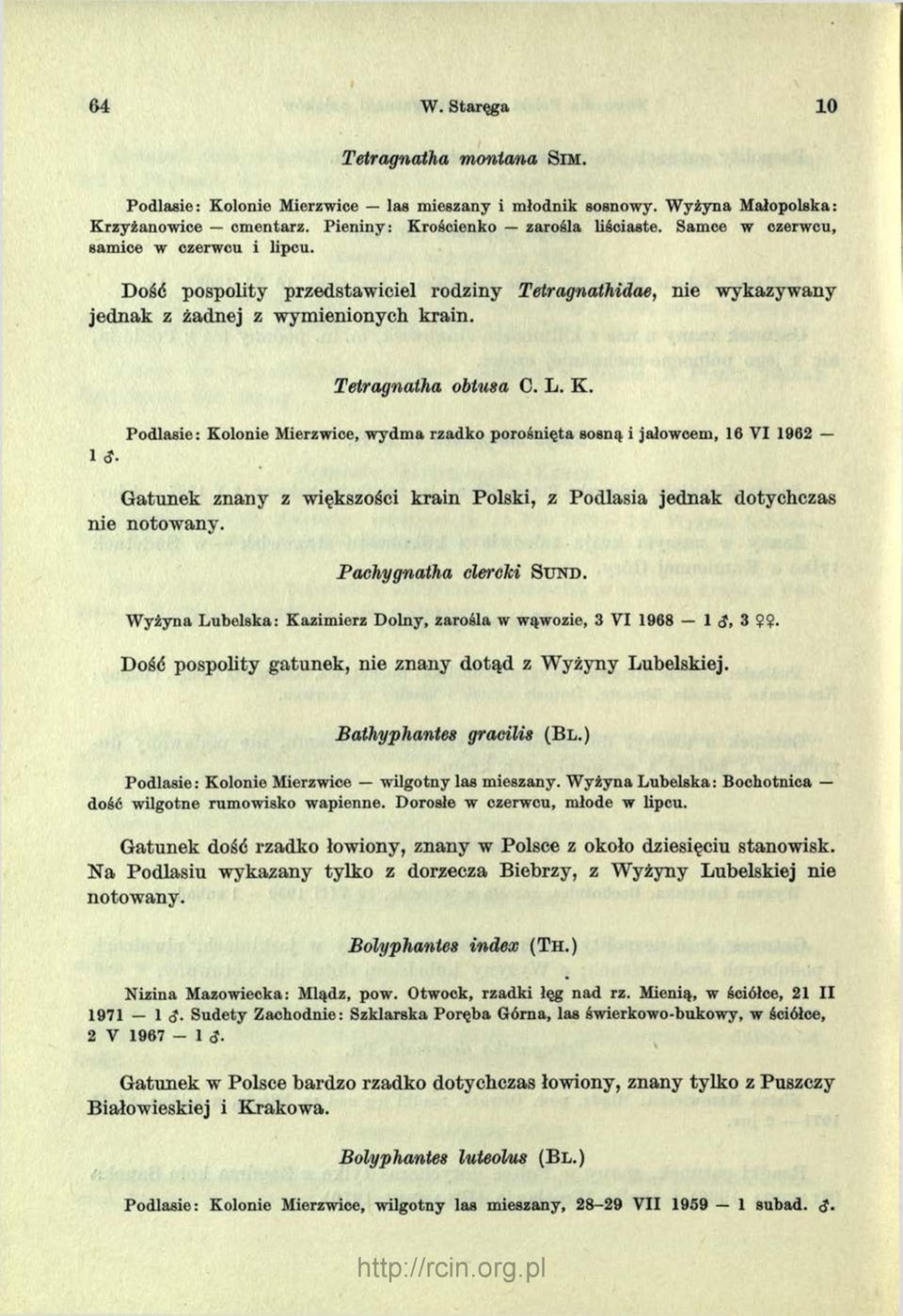 Podlasie: Kolonie Mierzwice, wydma rzadko porośnięta sosną i jałowcem, 16 VI 1962 Gatunek znany z większości krain Polski, z Podlasia jednak dotychczas nie notowany. Pachygnaiha clercki Stjnd.