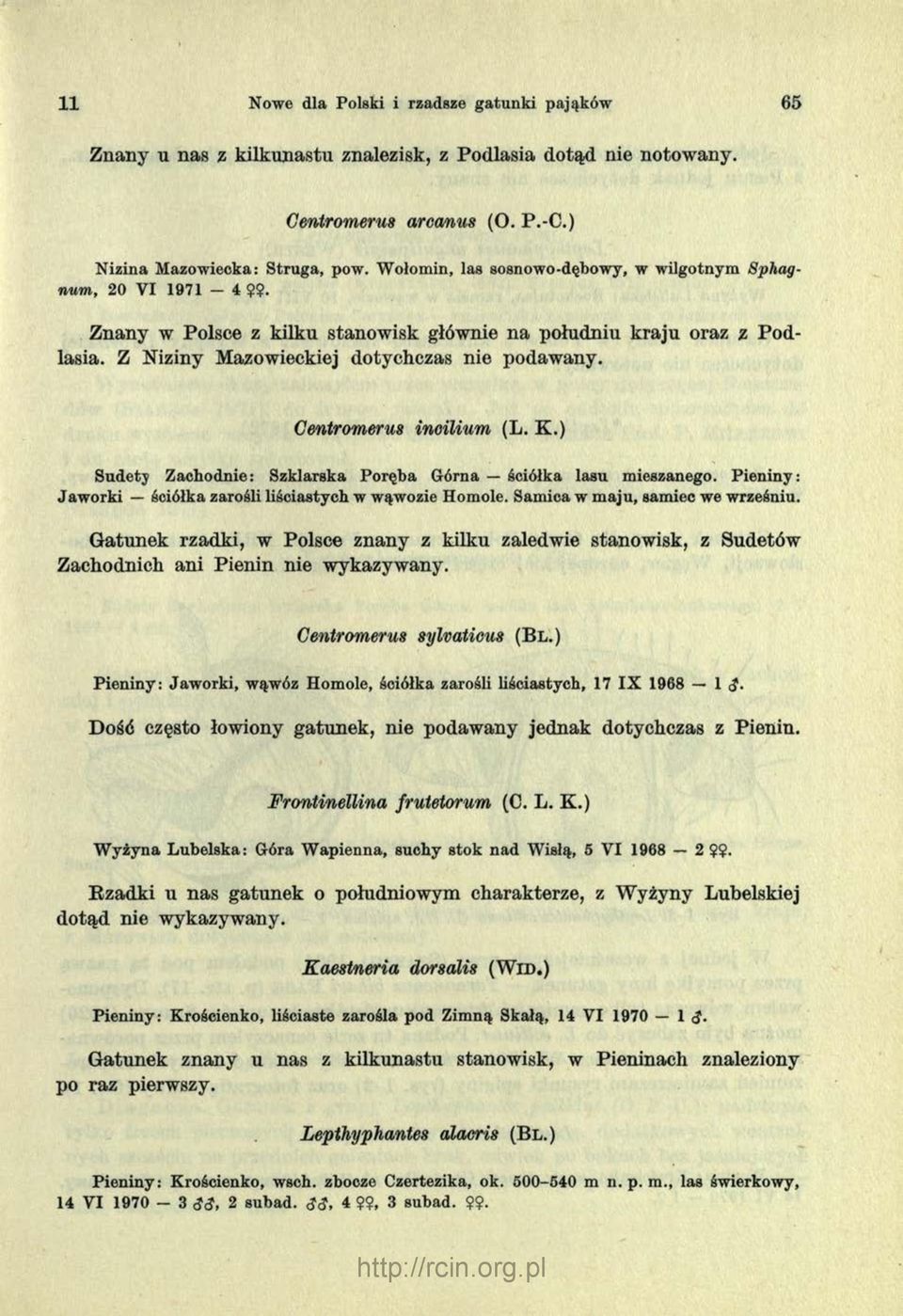 Centromerus inoilium (L. K.) Sudety Zachodnie: Szklarska Poręba Górna ściółka lasu mieszanego. Pieniny: Jaw orki ściółka zarośli liściastych w wąwozie Homole. Samica w maju, samiec we wrześniu.