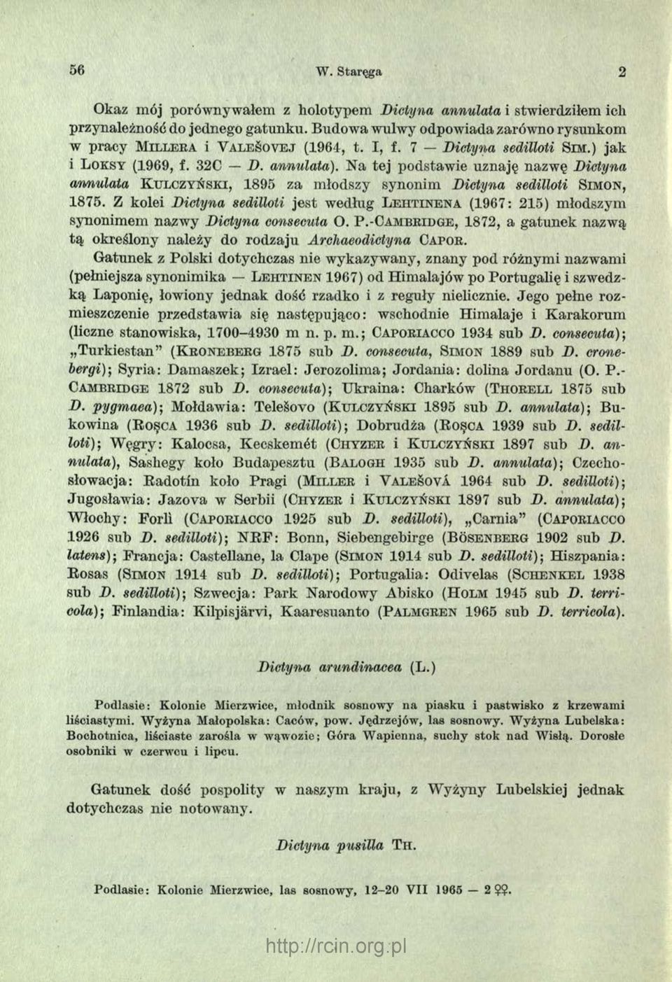 Na tej podstawie uznaję nazwę Dictyna annulata K u l c z y ń s k i, 1895 za młodszy synonim Dictyna sedilloti S im o n, 1875.