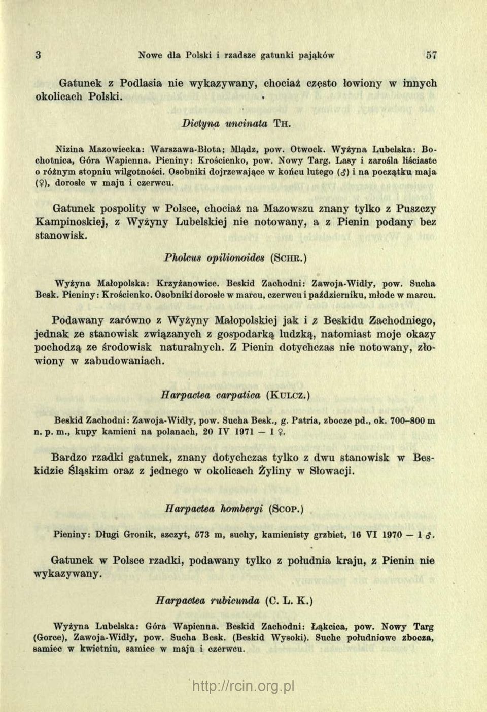 Osobniki dojrzewające w końcu lutego (<J) i na początku maja (?), dorosłe w maju i czerwcu.