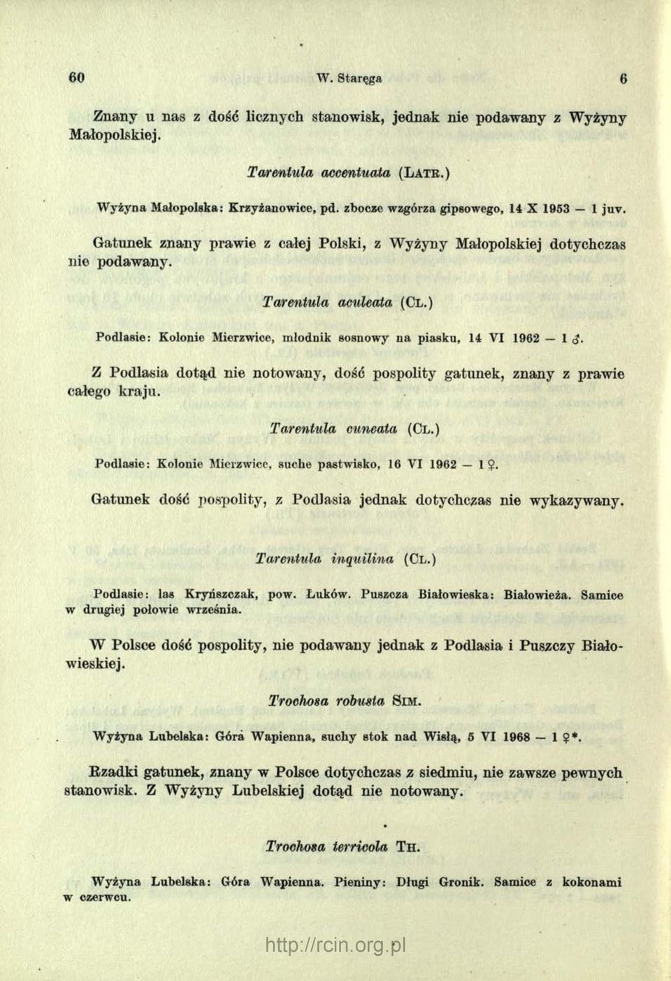 ) Podlasie: Kolonie Mierzwice, miodnik sosnowy na piasku, 14 VI 1962-1 d. Z Podlasia dotąd nie notowany, dość pospolity gatunek, znany z prawie całego kraju. Tarentula cuneata (Cl.