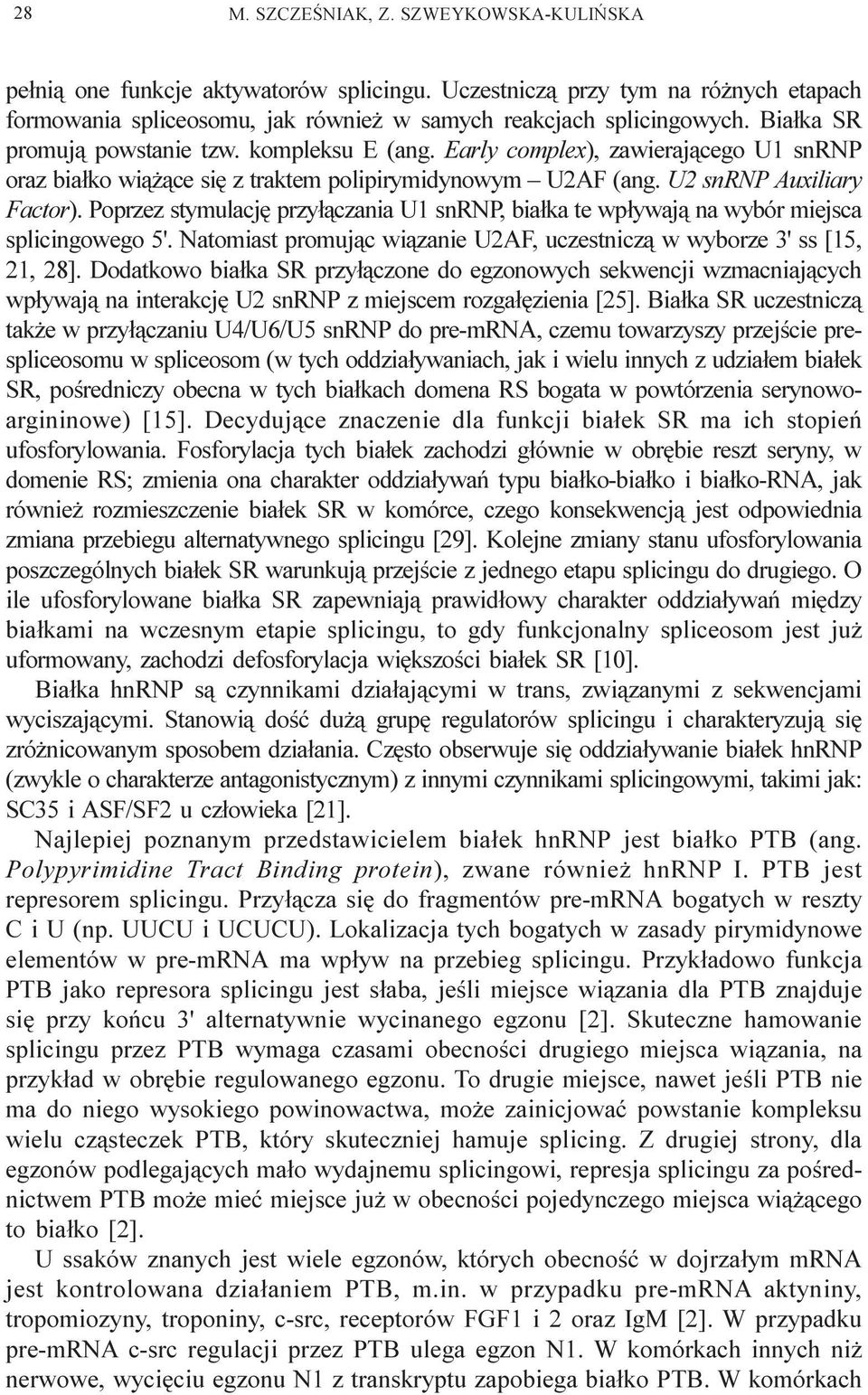 Poprzez stymulacjê przy³¹czania U1 snrnp, bia³ka te wp³ywaj¹ na wybór miejsca splicingowego 5'. Natomiast promuj¹c wi¹zanie U2AF, uczestnicz¹ w wyborze 3' ss [15, 21, 28].
