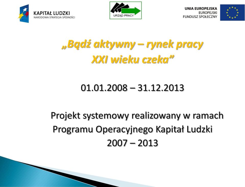2013 Projekt systemowy realizowany w