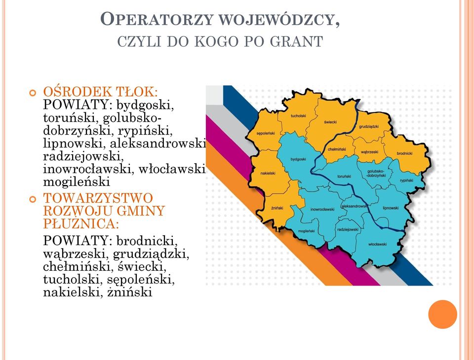 inowrocławski, włocławski, mogileński TOWARZYSTWO ROZWOJU GMINY PŁUŻNICA: POWIATY: