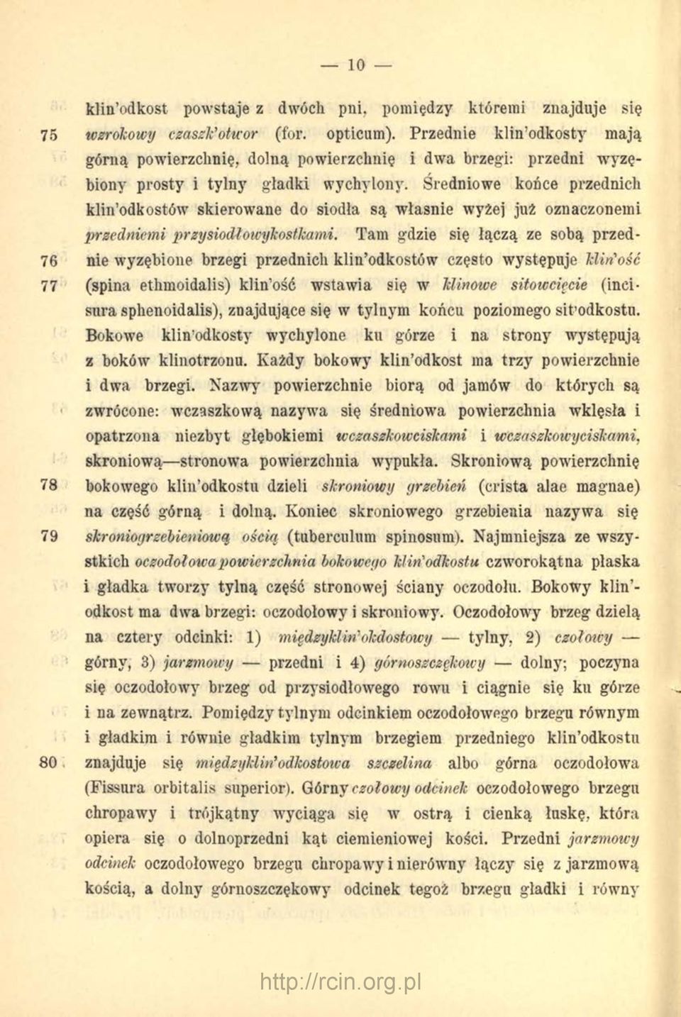 Średniowe końce przednich klin odkostów skierowane do siodła są właśnie wyżej już oznaczonemi przedniemi przysiodłowykosłkami.