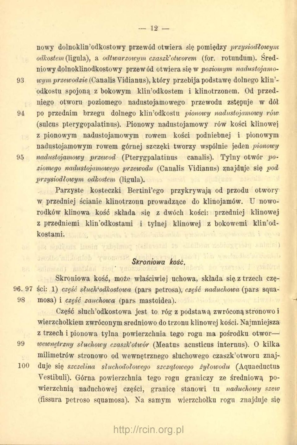 klinotrzonem. Od przedniego otworu poziomego nadustojamowego przewodu zstępuje w dół 94 po przednim brzegu dolnego klin odkostu pionowy nadustojamowy rów (sulcus pterygopalatinus).