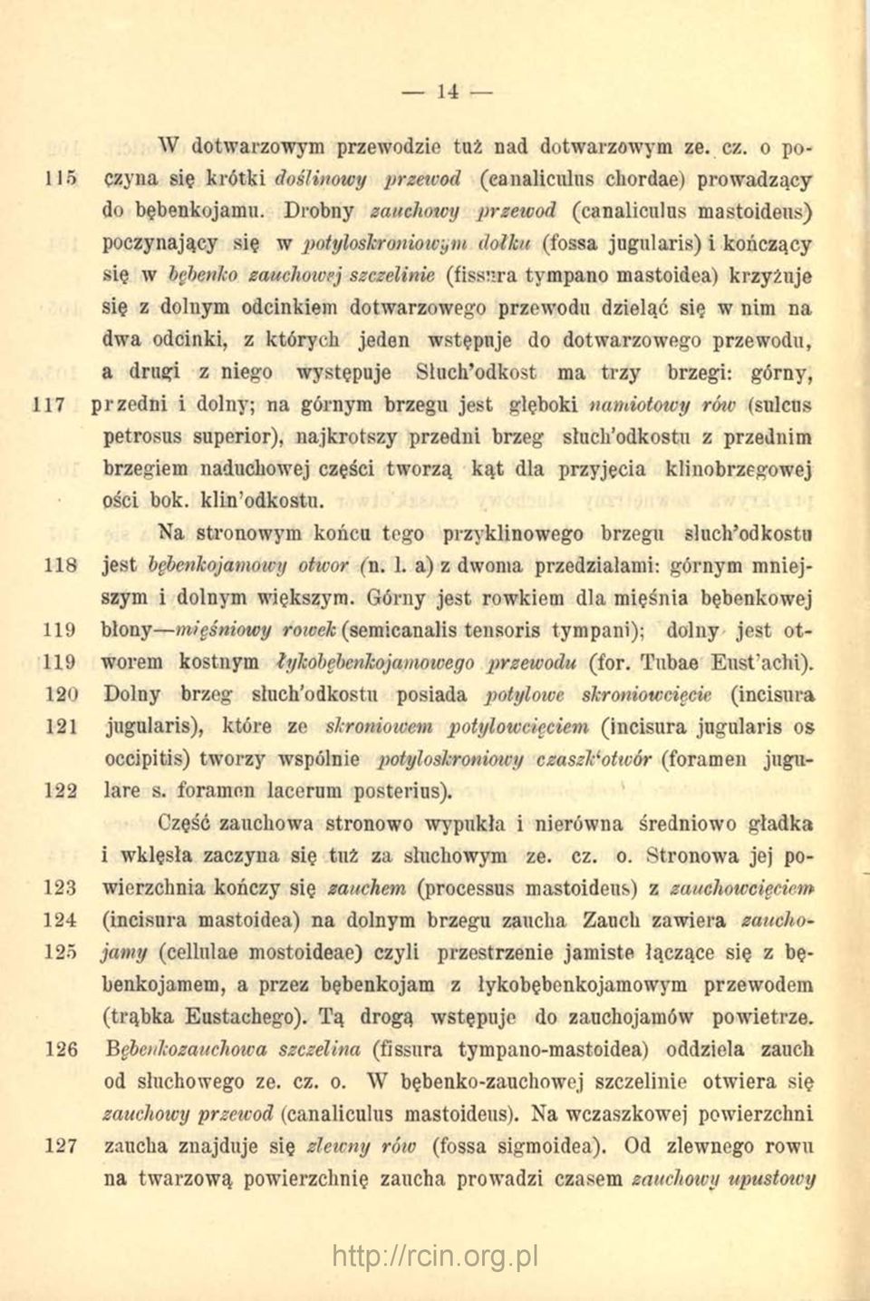 dolnym odcinkiem dotwarzowego przewodu dzieląc się w nim na dwa odcinki, z których jeden wstępuje do dotwarzowego przewodu, a drugi z niego występuje Słuch odkost ma trzy brzegi: górny, 117 przedni i