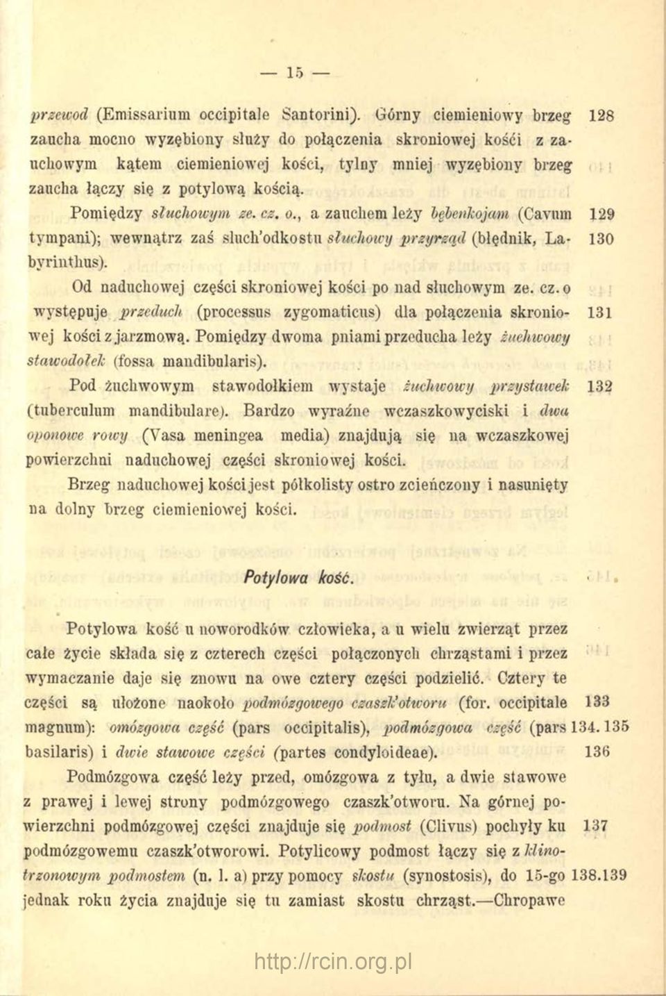 Pomiędzy słuchowym ze. cz. o., a zaucliem leży bębenkojam (Cavum J29 tympani); wewnątrz zaś sluch odkostu słuchowy przyrząd (błędnik, La- 130 byrinthus).