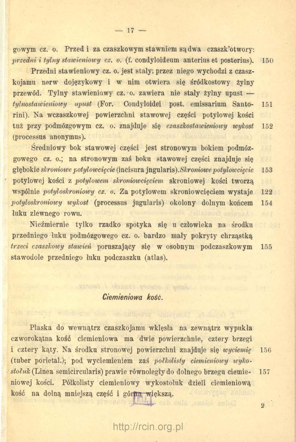 Na wczaszkowej powierzchni stawowej części potylowej kości tuż przy podmózgowym cz. o. znajduje się czasżkostawieniowy wylcost 152 (processus anonymus).