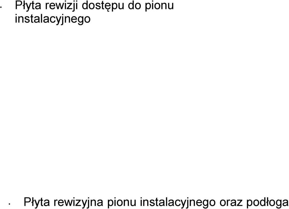 Płyta rewizyjna pionu