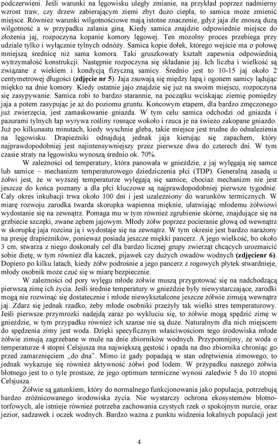 Kiedy samica znajdzie odpowiednie miejsce do złożenia jaj, rozpoczyna kopanie komory lęgowej. Ten mozolny proces przebiega przy udziale tylko i wyłącznie tylnych odnóży.