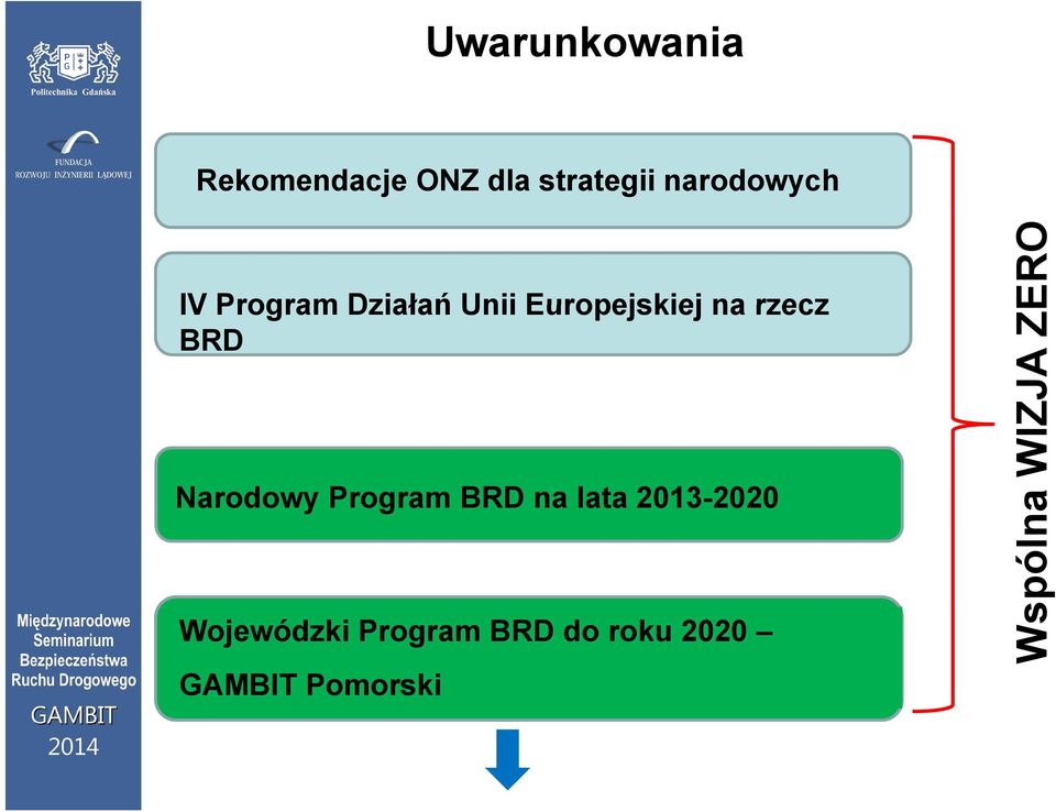 Narodowy Program BRD na lata 2013-2020 2020 Wojewódzki