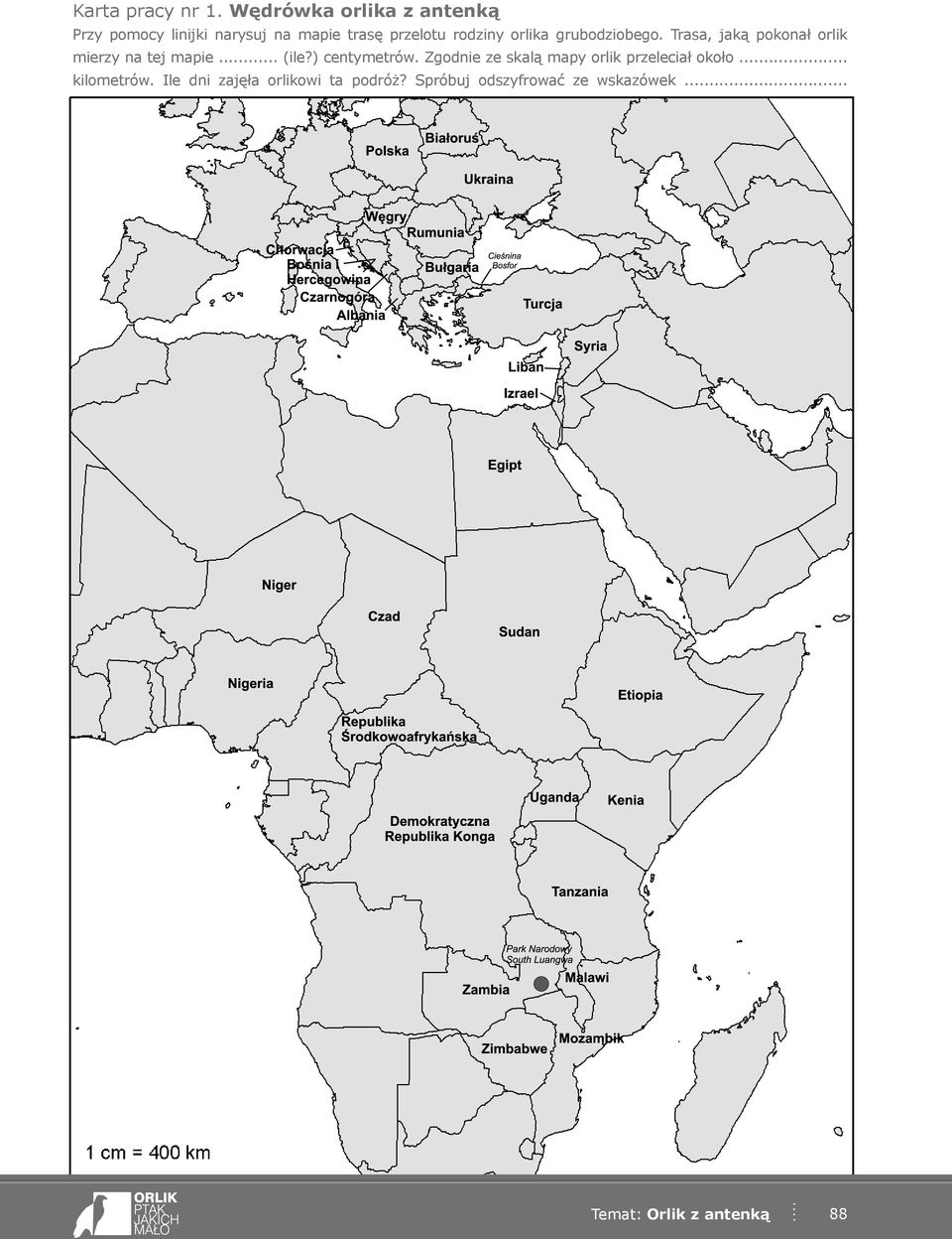 orlika grubodziobego. Trasa, jaką pokonał orlik mierzy na tej mapie... (ile?