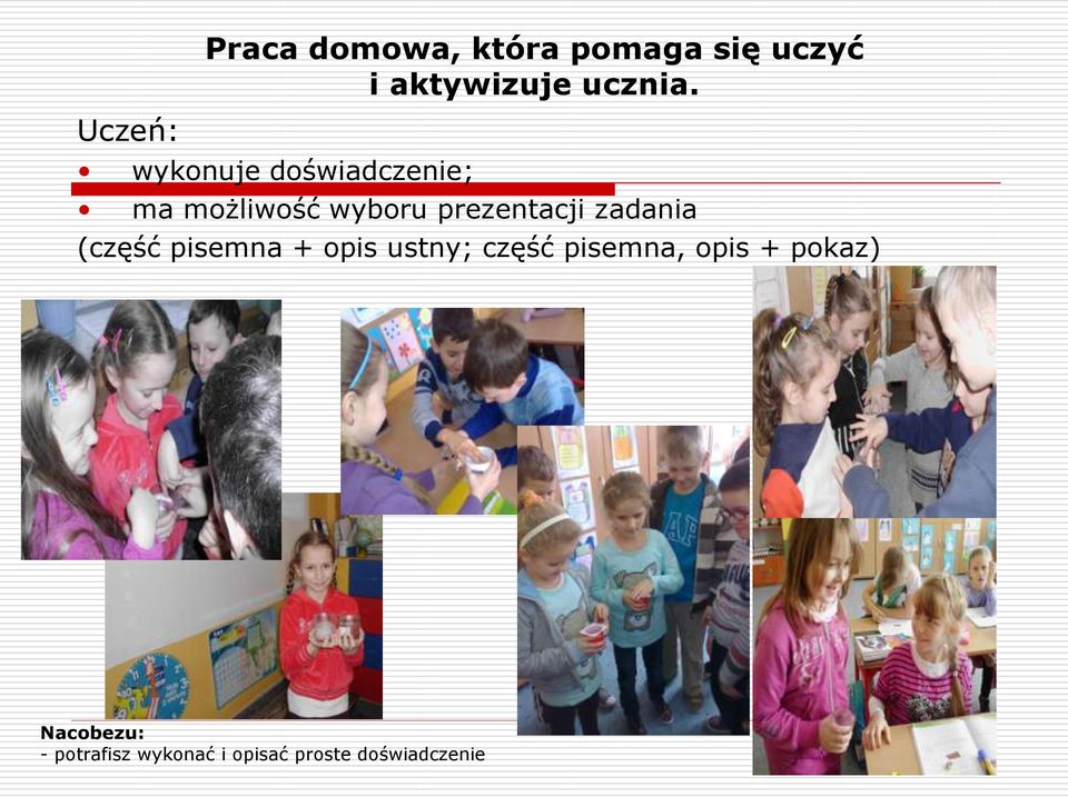 wykonuje doświadczenie; ma możliwość wyboru prezentacji