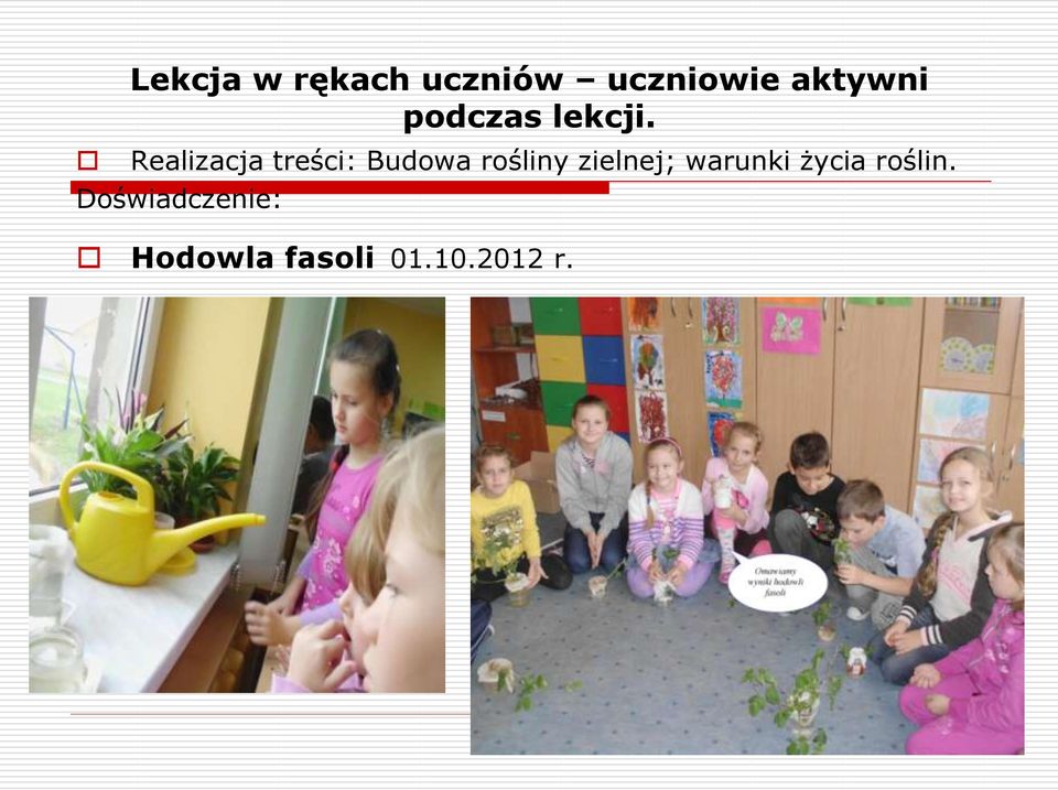 Realizacja treści: Budowa rośliny