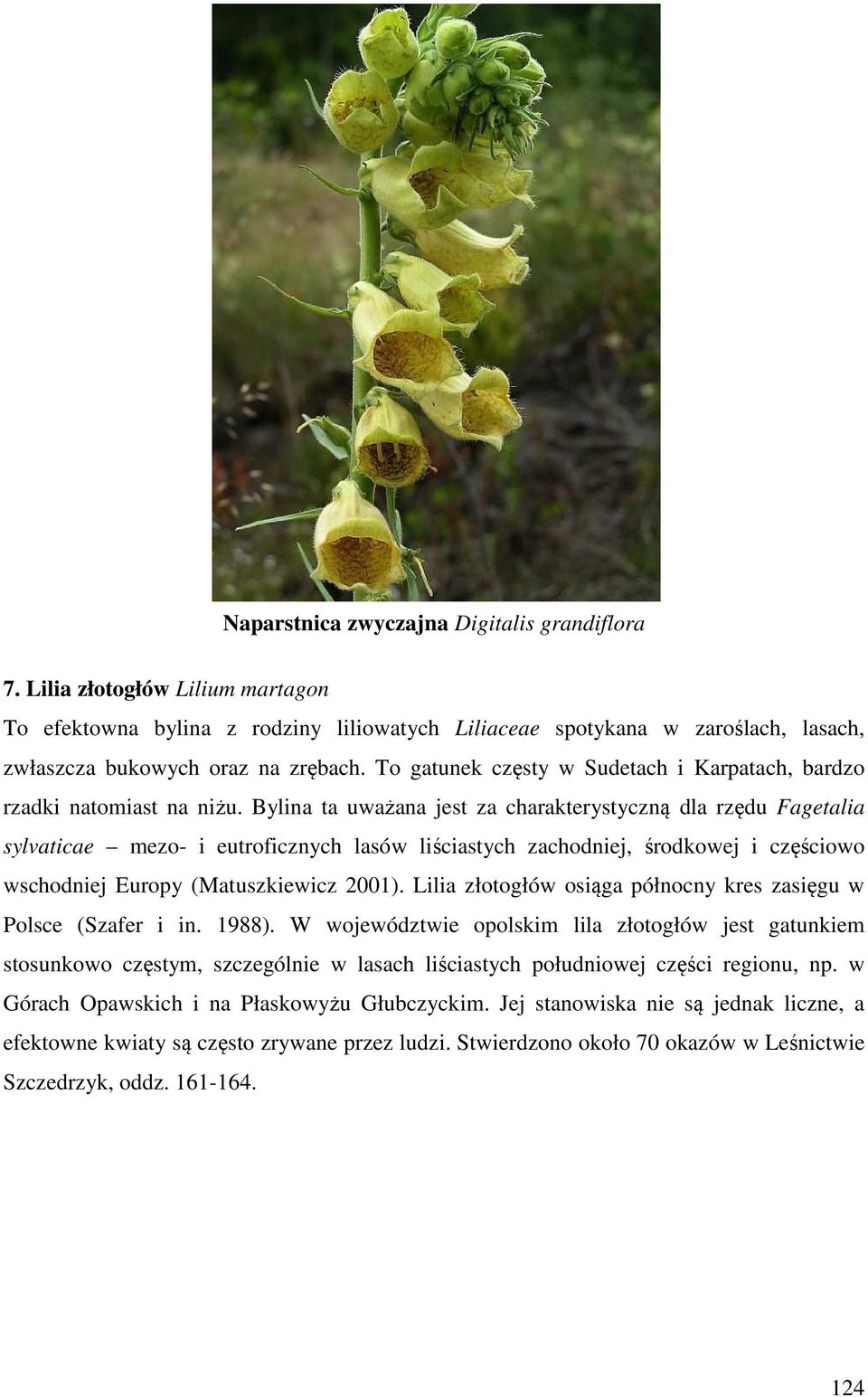 Bylina ta uważana jest za charakterystyczną dla rzędu Fagetalia sylvaticae mezo- i eutroficznych lasów liściastych zachodniej, środkowej i częściowo wschodniej Europy (Matuszkiewicz 2001).