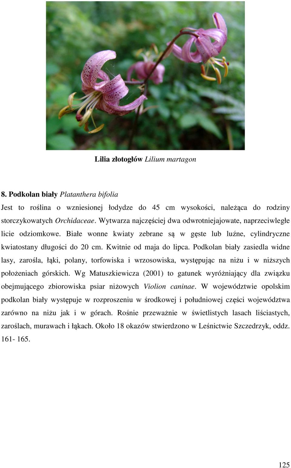 Podkolan biały zasiedla widne lasy, zarośla, łąki, polany, torfowiska i wrzosowiska, występując na niżu i w niższych położeniach górskich.