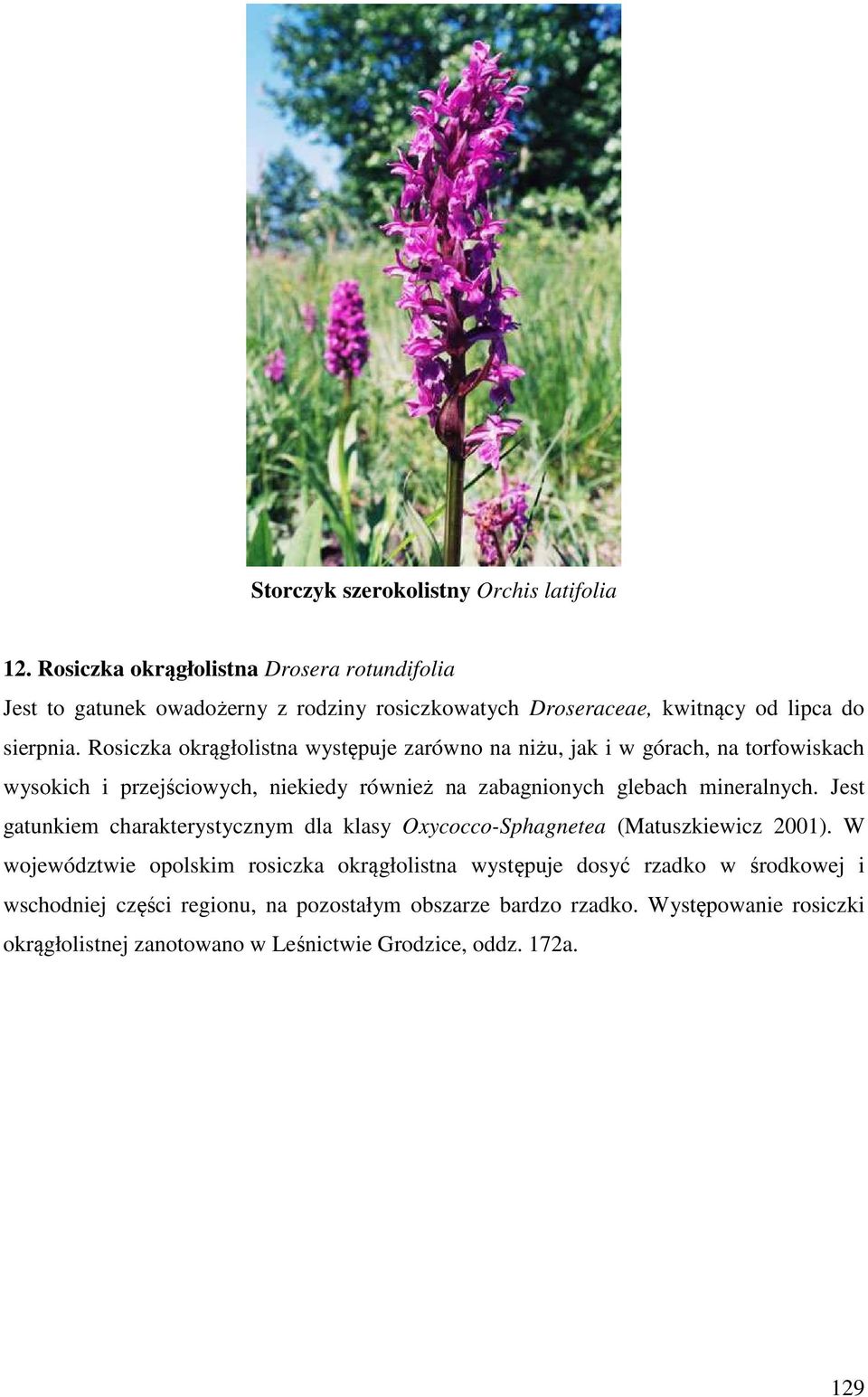 Rosiczka okrągłolistna występuje zarówno na niżu, jak i w górach, na torfowiskach wysokich i przejściowych, niekiedy również na zabagnionych glebach mineralnych.