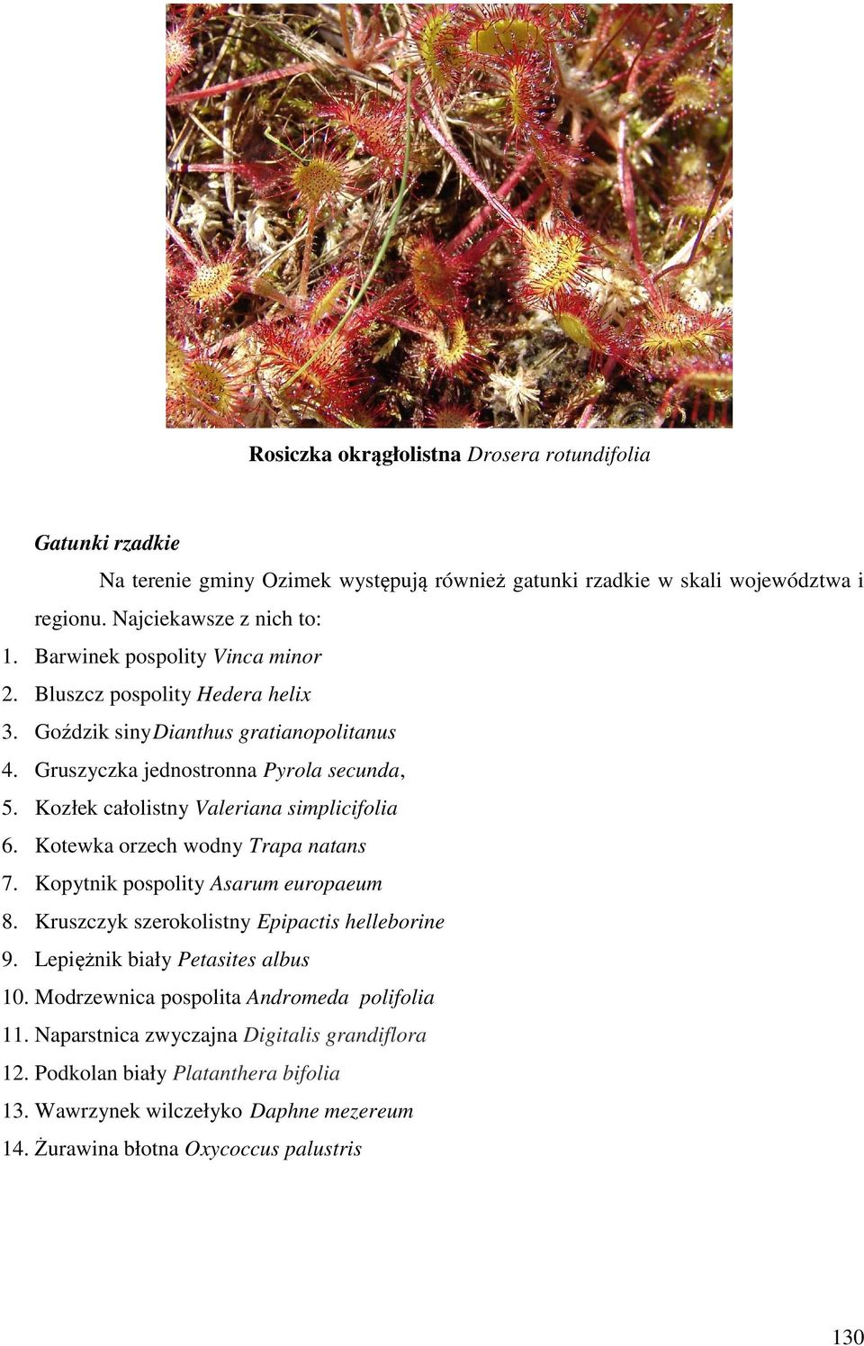 Kozłek całolistny Valeriana simplicifolia 6. Kotewka orzech wodny Trapa natans 7. Kopytnik pospolity Asarum europaeum 8. Kruszczyk szerokolistny Epipactis helleborine 9.