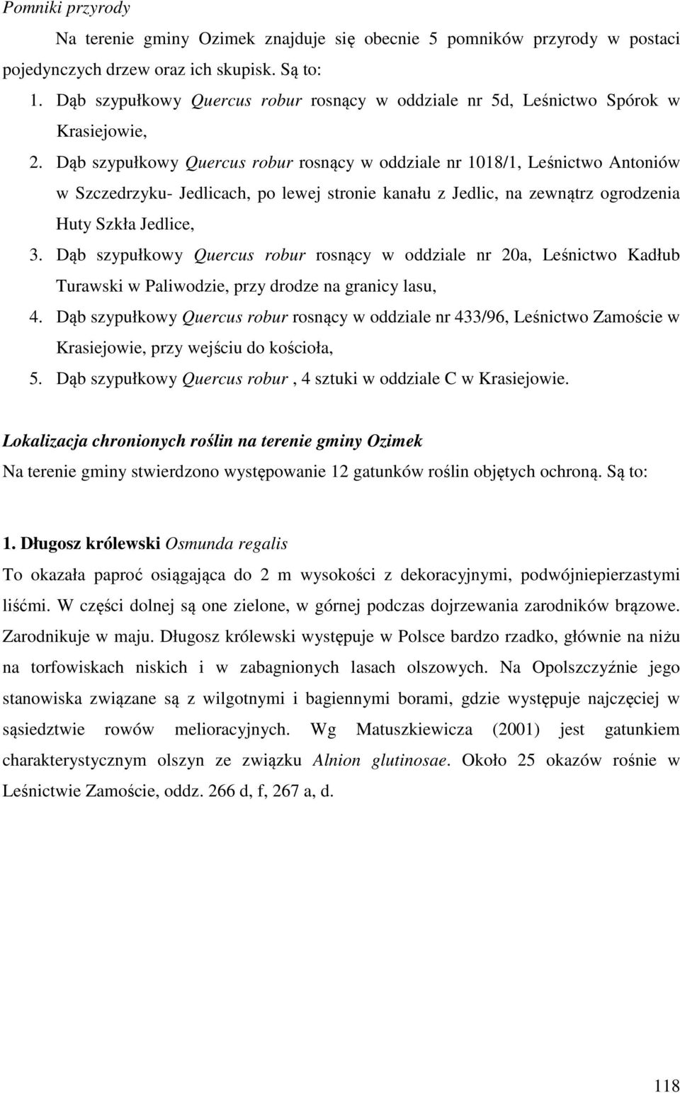 Dąb szypułkowy Quercus robur rosnący w oddziale nr 1018/1, Leśnictwo Antoniów w Szczedrzyku- Jedlicach, po lewej stronie kanału z Jedlic, na zewnątrz ogrodzenia Huty Szkła Jedlice, 3.