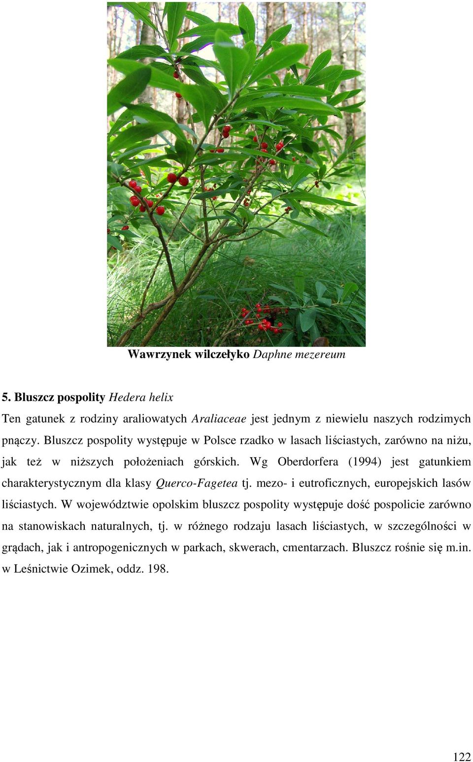 Wg Oberdorfera (1994) jest gatunkiem charakterystycznym dla klasy Querco-Fagetea tj. mezo- i eutroficznych, europejskich lasów liściastych.