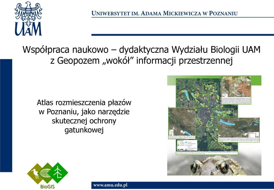 przestrzennej Atlas rozmieszczenia płazów w