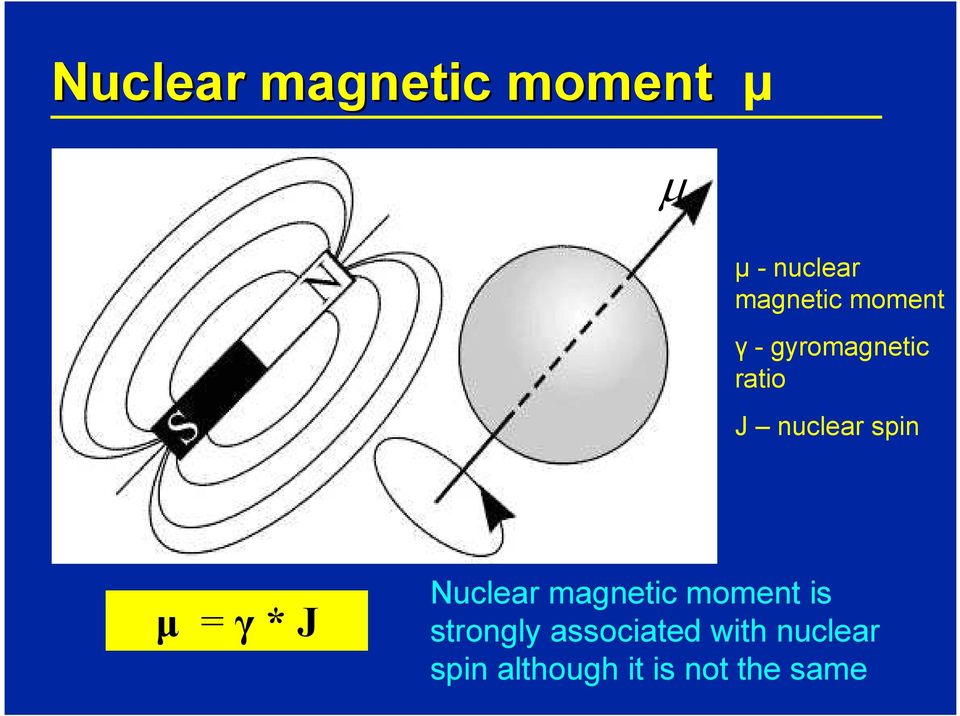 γ * J Nuclear magnetic moment is strongly