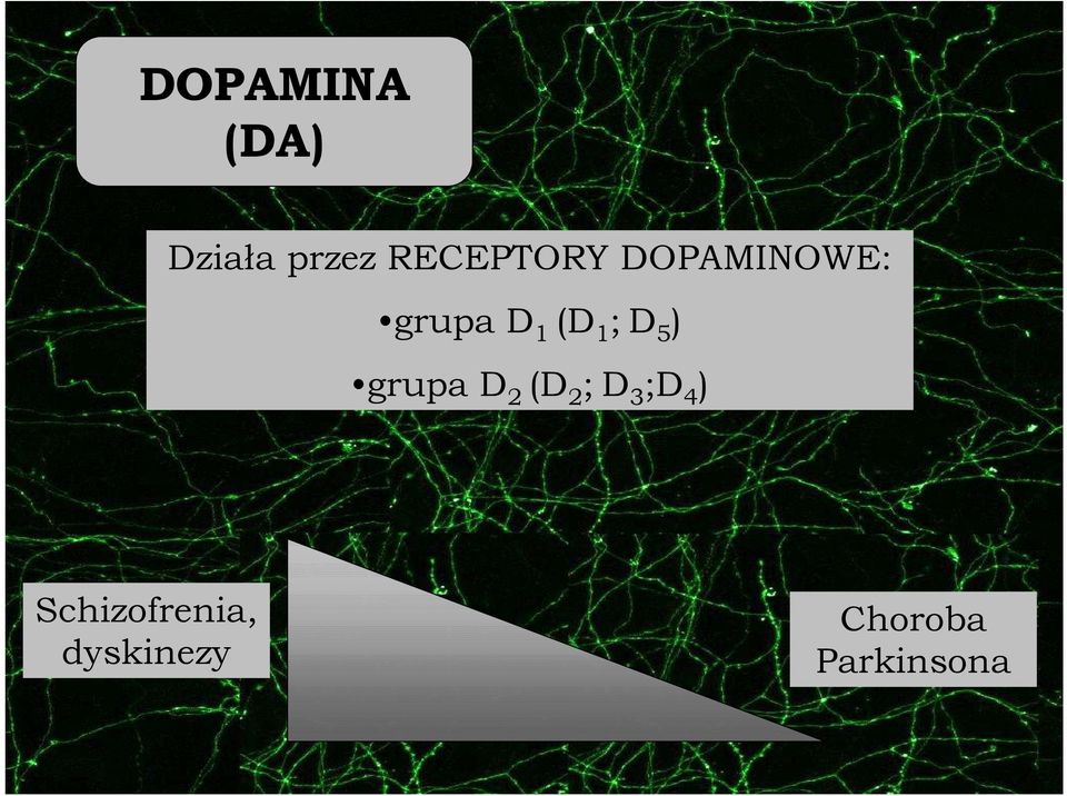 1 ; D 5 ) grupa D 2 (D 2 ; D 3 ;D 4