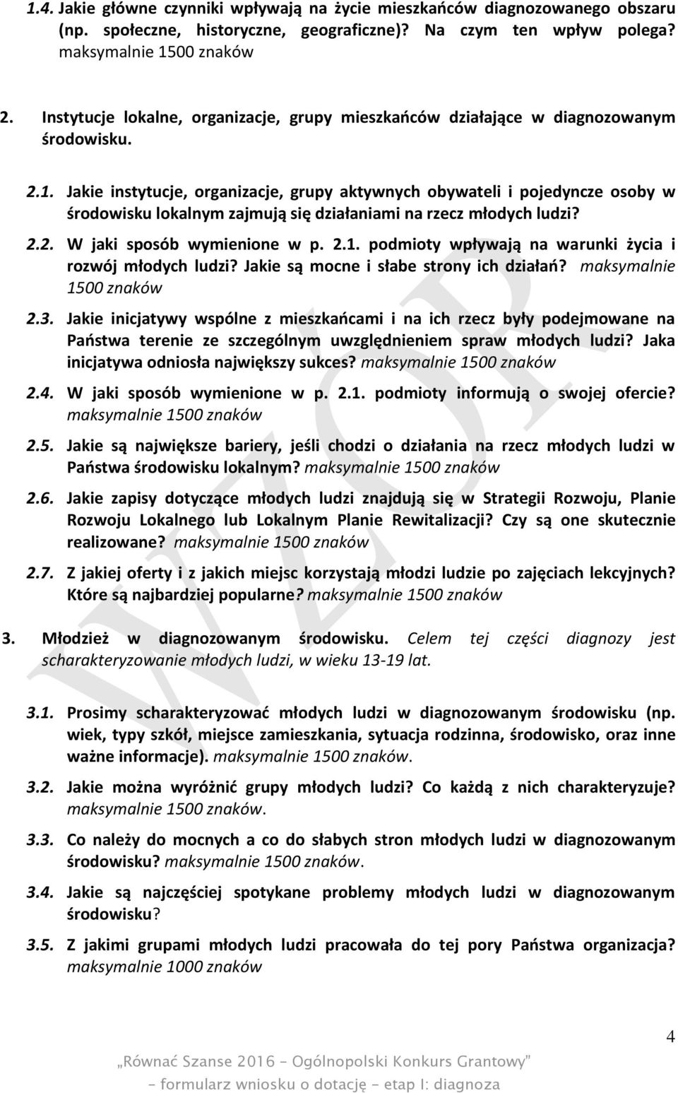 Jakie instytucje, organizacje, grupy aktywnych obywateli i pojedyncze osoby w środowisku lokalnym zajmują się działaniami na rzecz młodych ludzi? 2.2. W jaki sposób wymienione w p. 2.1.