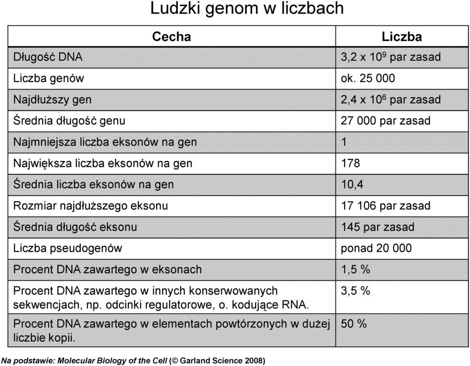 najdłuższego eksonu Średnia długość eksonu 2,4 x 10 6 par zasad 27 000 par zasad 17 106 par zasad 145 par zasad Liczba pseudogenów ponad 20 000 Procent DNA zawartego w